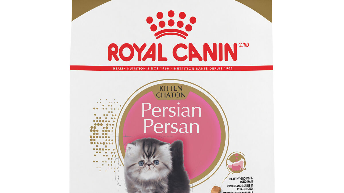 Royal canin persian clearance kitten dry food