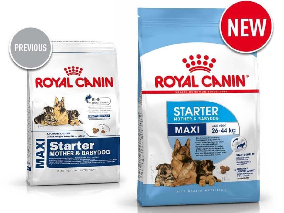 Royal Canin Maxi Starter Dog Food Get upto 30 Off