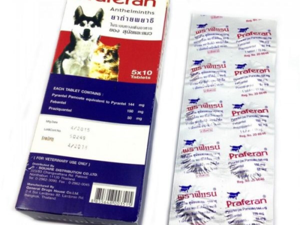 Cat deworming meds hotsell