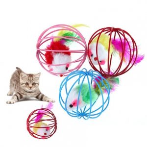 Buy cat toys clearance online