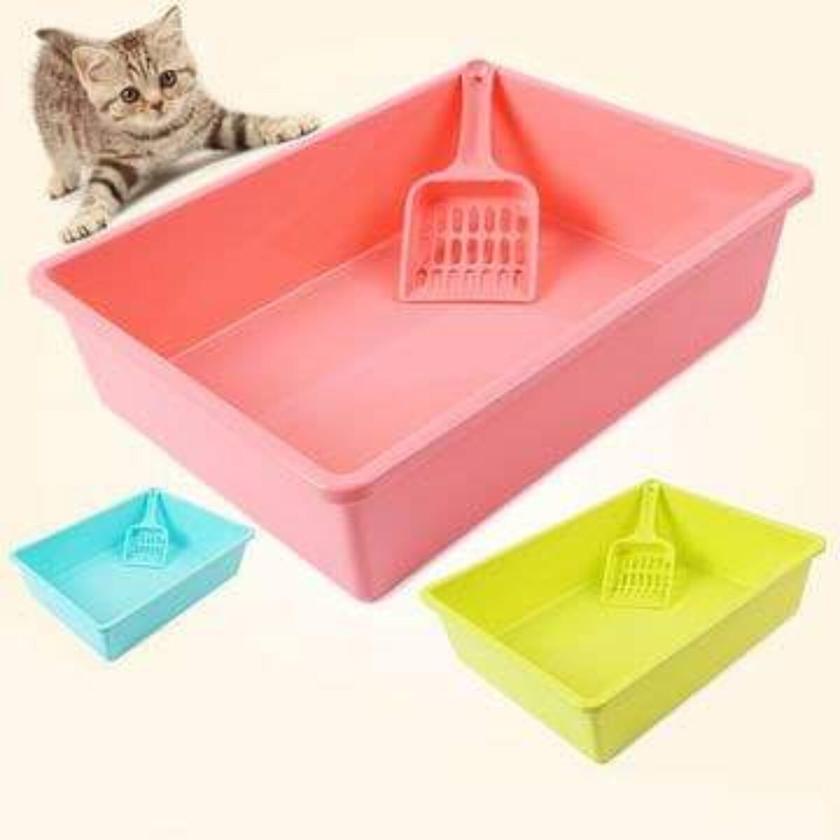 Litter box delivery best sale