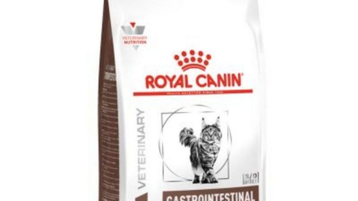 Gastrointestinal royal shop canin cat food