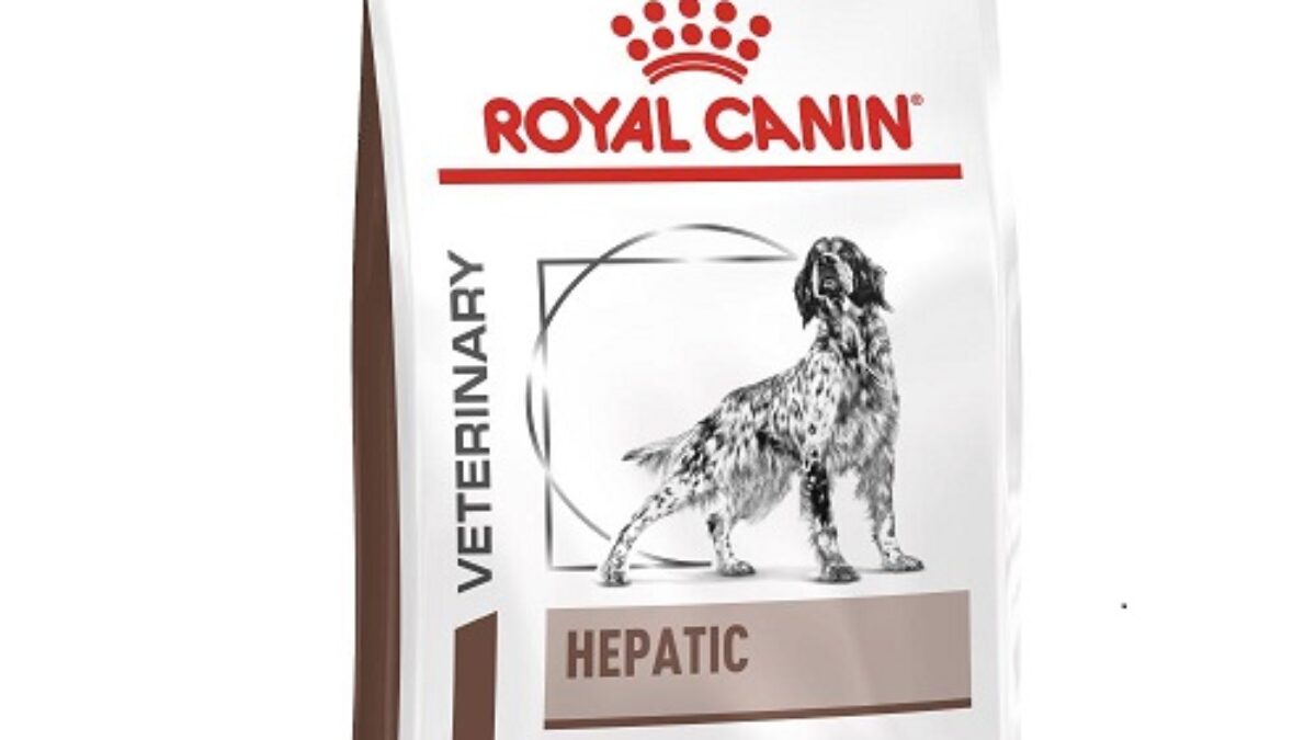 Royal canin hotsell hepatic 10 kg