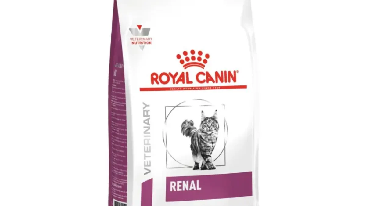 Royal canin renal sales dog food 2kg