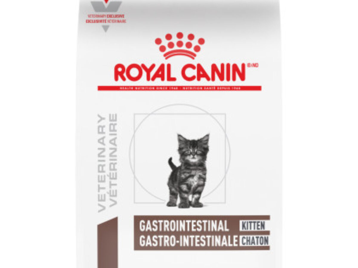 Gastrointestinal 2024 cat food