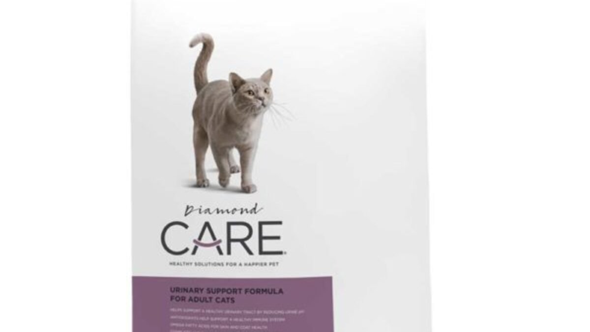 Diamond care sale cat food