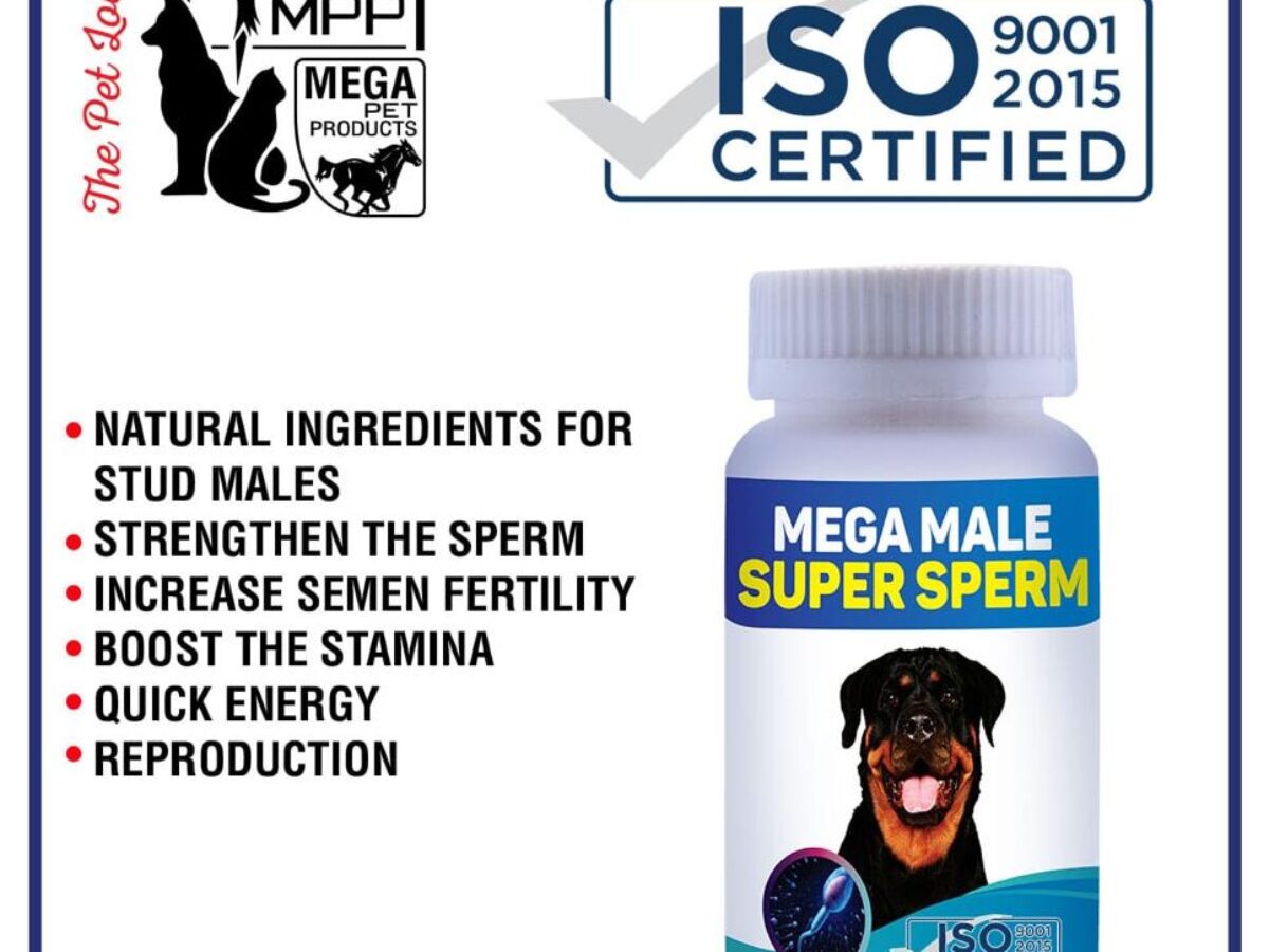 Mega Male Super Sperm For Stud Dogs ePetStore.pk