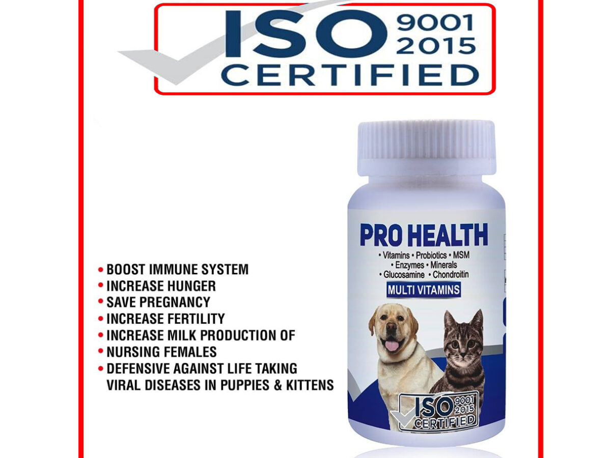 Best vitamins hotsell for pregnant dogs